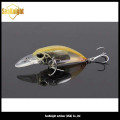 Hard plastic fishing lure, making hard plastic lures, making hard plastic lures